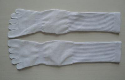 Chine Le blanc cinq de Womem de coton bottent les chaussettes avec la pointe du pied, hautes chaussettes tricotées de genou pour des dames à vendre