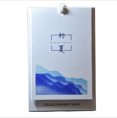 China Anti-Counterfeit Tag Custom Clothes Kraft Paper Tag Plastic Women's Tag Custom Elevator Tag Custom for sale