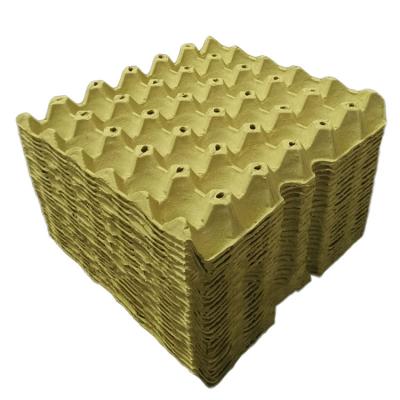 China Biodegradable Indonesia Cardboard Quail Cartons Form Paper Packaging Box 12 Egg Setting Tray Plant For Sale Philippines for sale