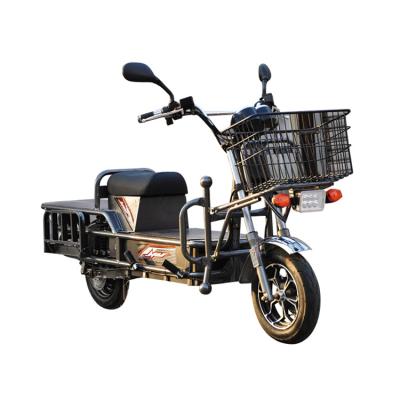 China / Two-wheeler 45km/h Cargo Motorcycle Electric Bike Promotion for sale