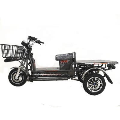 China Delivery Steel Electric Cargo Bike Family Electric Cargo Bike for sale