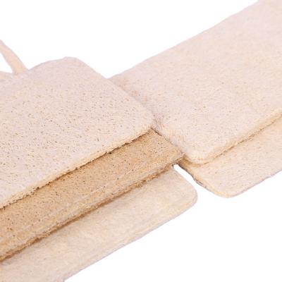 China Viable Natural 100% Biodegradable Exfoliating Loofah Sponge Pads Loofah Organic Kitchen Dish Loofah Cleaning Sponge for sale