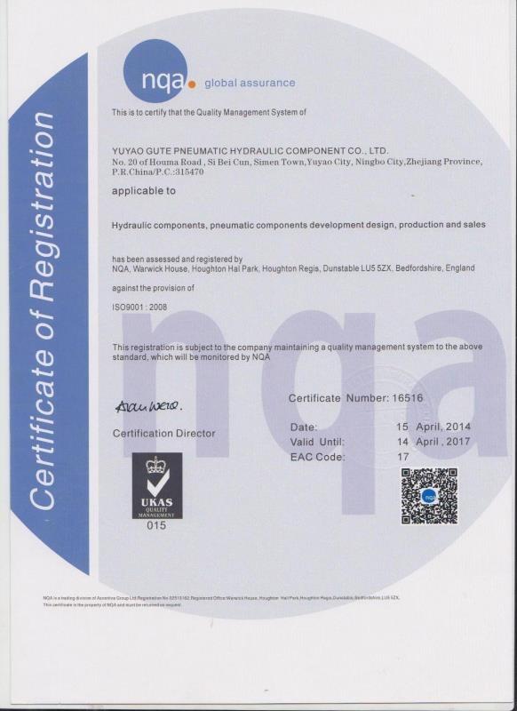 ISO9001:2008 - Ningbo Gute  Hydraulic CO.LTD