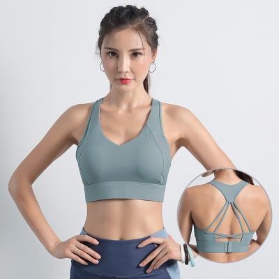 China News Sports Yoga Bra Workout Sports Fitness Bra Women's White Color Yoga Bra Antibacterial Running Solid Color Women's Yoga Bra for sale