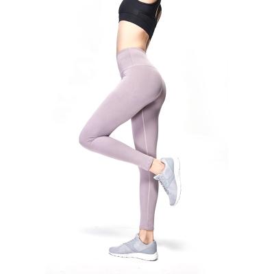 China 2019 New Fashion Antibacterial Women Sports Yoga Gaiters Seamless Running Gym Tight Pants for sale