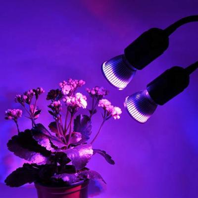 China Seed Starting LED Plant Bulb 5w E27 Growth Light Red And Blue Flower Ratio Plant Photosynthetic Light for sale