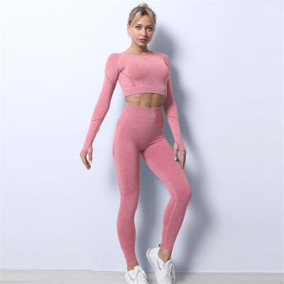 China Colorful 2 Piece Sportswear Ladies Breathable Warm Custom Amazon Logo Slim Fit Sportswear Suit New Workout Long Sleeve Fitness Yoga Set for sale