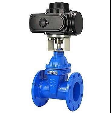 China DN150 PN16 WCB NKZ961H Electric Flange Vacuum Gate Valve for Customized Requirements for sale