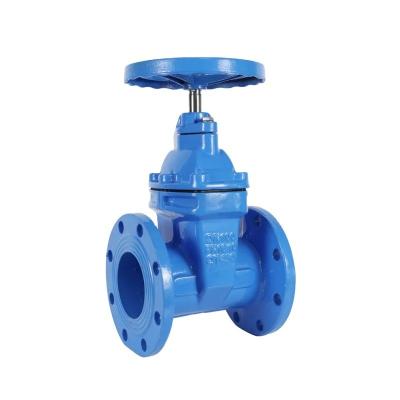 China Complete Certificate 4 inch DN100 Ductile Iron Y Strainer Drain Valve for Smooth Flow for sale