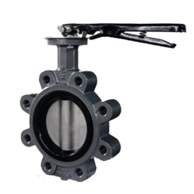 China Diaphragm Electric Lug Butterfly Valve in Cast Iron Material for ODM Customized Support for sale