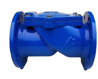 China Medium Temperature DN100 Pn16 Asin Cast Iron Rubber Flapper Check Valve for OEM Support for sale