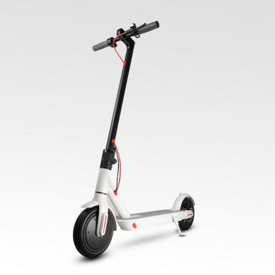 China Disc Brake Electric Scooters Adult 36V Folding Electric Scooter Mini Battery Scooter for sale