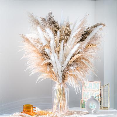 China Decoration dried flowers pampas grass other decorative flowers and plants for sale