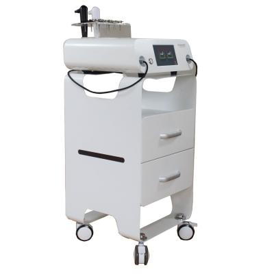 China Wrinkle Solvent New Product CET 2021 RET Health Care Spa And 448khz Tecar INDIBA Machine for sale