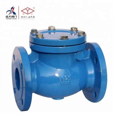 China General GG25 / GGG50 DIN CAST IRON DUCTIAL SWING CHECK VALVE for sale