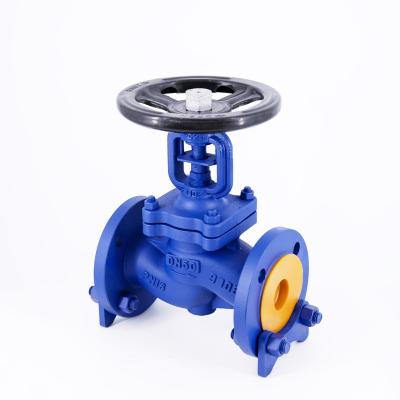 China General DIN PN16 Cast Steel Bellows Stop Valve for sale