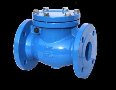 China General Cast Iron Check Valve for sale