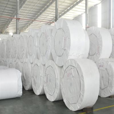 China New Agricultural Material White Polypropylene Moisture Proof Woven Tubular Fabric PP Roll For Bag Making Manufactures for sale