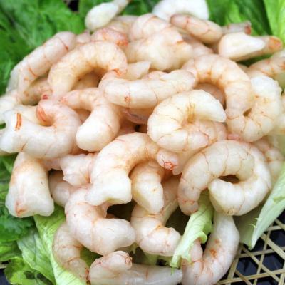 China FROZEN Fresh Seafood Frozen Whole Shrimp /raw Shrimp for sale