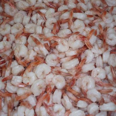 China Fresh frozen prawn shirmp vannamei prawn for sale