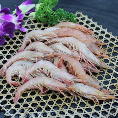 China FROZEN Frozen Prawn Live Prawn Prawn For Sale for sale