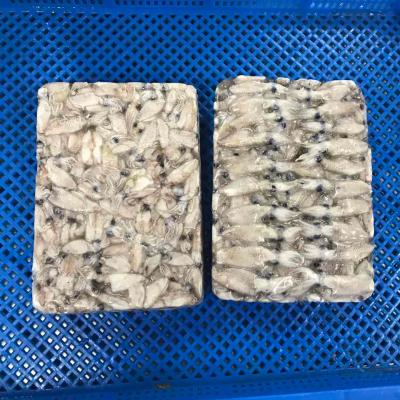 China China supplier NATURE baby squid loligo squid frozen for sale