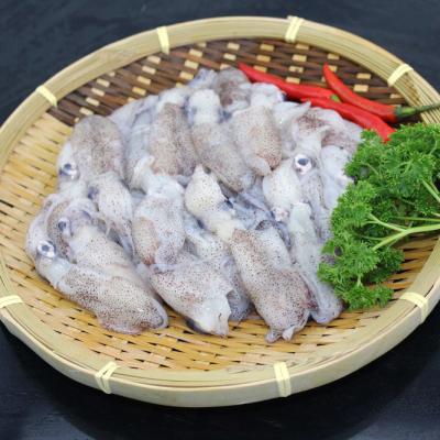 China NATURE seafood squid 5-7cm frozen loligo baby whole round squid for sale