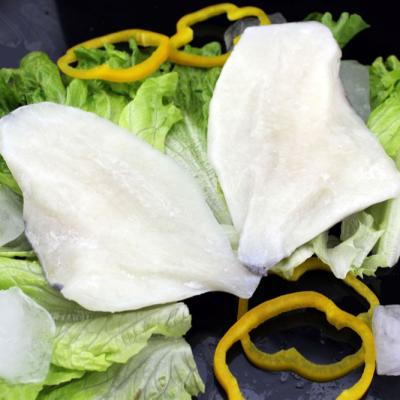 China FROZEN John Dory (Zeus Faber) Fish Fillet Frozen Skin on Sea Fish for sale