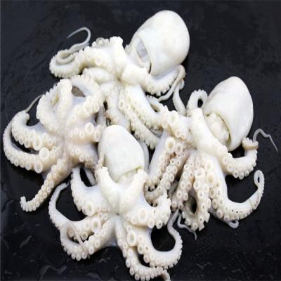 China 1-1.5kg OCTOPUS flower shape flower ball flower for sale