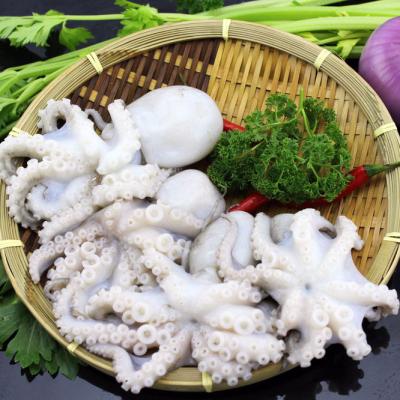 China frozen seafood baby octopus /flower octopus 40-60,60-80, stock octopus 26-40pcs/lb.40-60pcs/2lb for sale