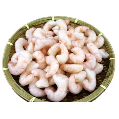 China Live fresh shrimp raw red shrimp with good price for sale for sale