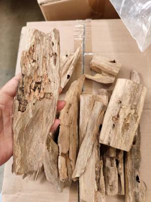 China Hainan Chinese Agarwood Wierookpoeder Natuurlijke stammen Witte Agarwood Snips Te koop