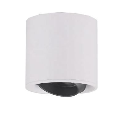 China Residential/Hotel/Office LED Rotating COB Around Ceiling Outdoor Mounted Projector For Living Room for sale