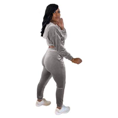 China Best Viable Price Fitted 2 Piece Set Hoodie Sweatsuit Women In All Colors Wholesale for sale