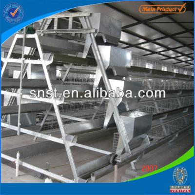 China Automatic Chicken Layer Poultry Cage For Poultry Farm for sale