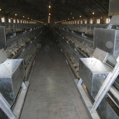 China Grows Hot Sales One Type 3 Rows Battery Layer Cage for sale