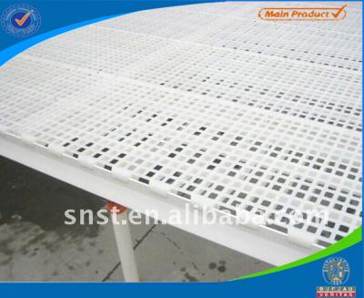 China Chicken Slat Plastic Floor ST-1250 for sale