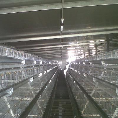 China Cultivates high quality hot sale SONCAP automatic chicken layer cage popular in the market for sale