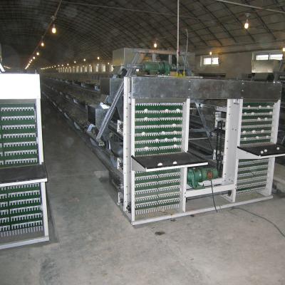 China Battery Chicken Layer Cage Sale Farms Low Price For Pakistan Farm Manufacturer for sale