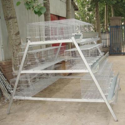 China Popular Chicken In Africa120 Birds Hot Dipped Galvanized Chicken Wire Cage for sale