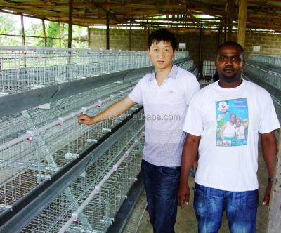 China Chicken Chicken Layer Battery Cage for Layer Chicken Popular in Africa Market for sale