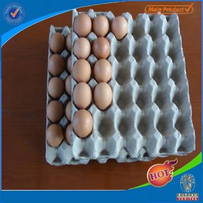 China Egg paper egg tray for sale /egg carton for sale