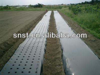 China PE Black/Silver Agriculture Biodegradable Plastic Hole Mulch Film for sale