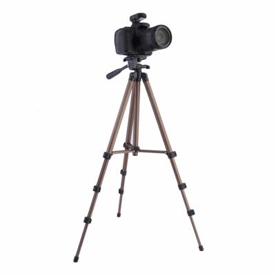 China WT3130 WT3130 Portable Flexible Tripod For Mobile Phone Stand DSLR Camera Aluminum Alloy Stick Tripod for sale