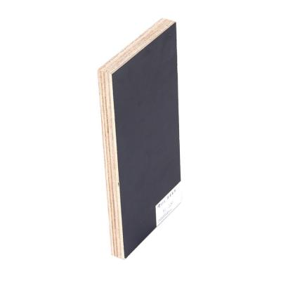 China Modern Matte Finish Indoor Usage Crocodile Black Film Faced Plywood 18Mm for sale