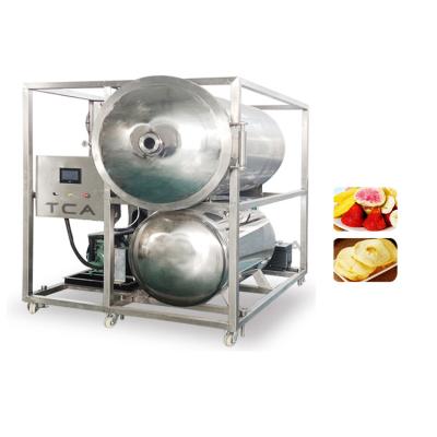 China Hotels Small Fruit Freeze Dehydrator Freeze Drying Machine Vacuum Drier Freeze Dryer for sale