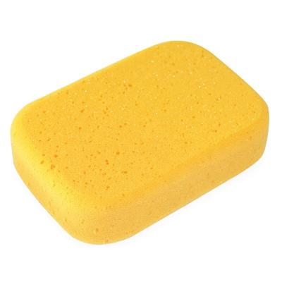 China Viable Wholesale Seaweed Sponge Water Absorbent Car Sharpener Cleaning Wash Products for sale