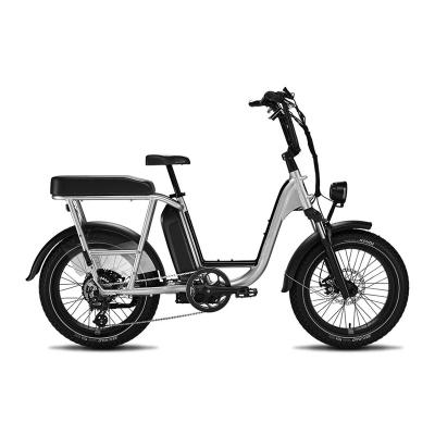 China china 750w/1000w fat tire aluminum alloy fat tire 48v hub custom electric bike fat tire e bike beach e-bike women snow women ebike motor accolmile for sale