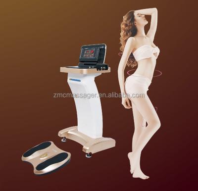 China Ten Body Pulsed Therapy Device / Beauty Machine / BIO Beauty Machine for sale