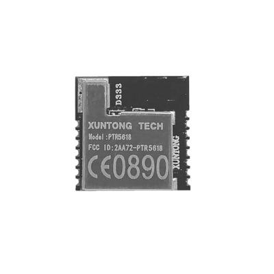 China Nordic Iot small size 5.0 bluetooth module ble low energy module 52832 IOT wireless module PTR5618 for sale